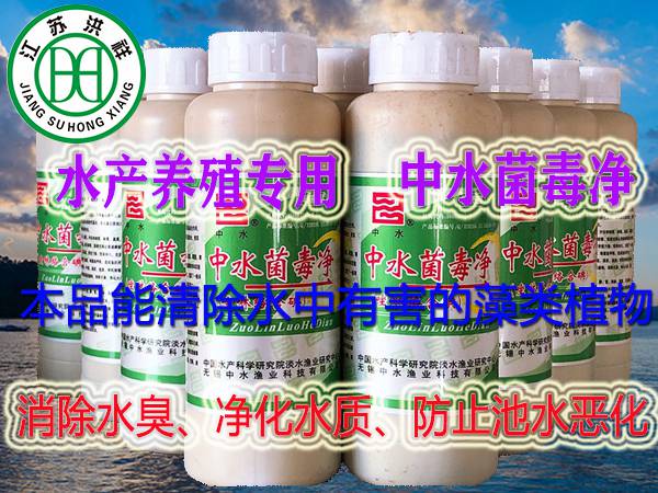 中水菌毒凈