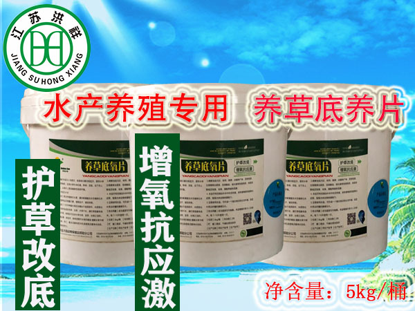 養(yǎng)草底養(yǎng)片